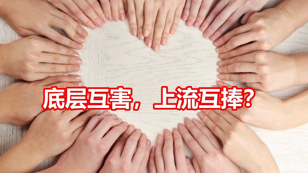 底层互害,上流互捧? - YouTube