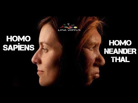 Homo Sapiens Vs Neanderthal / İlk İnsanlar- Avrupa / Lima Virtus