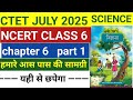 CTET JULY 2025 NCERT CLASS 6 CHAPTER 6 SCIENCE PAPER 2 #ctetpaper2 #ctetncertscience #ctet #ctet