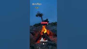 سورة آل عمران ص1 #شاركها #تلاوة_هادئة