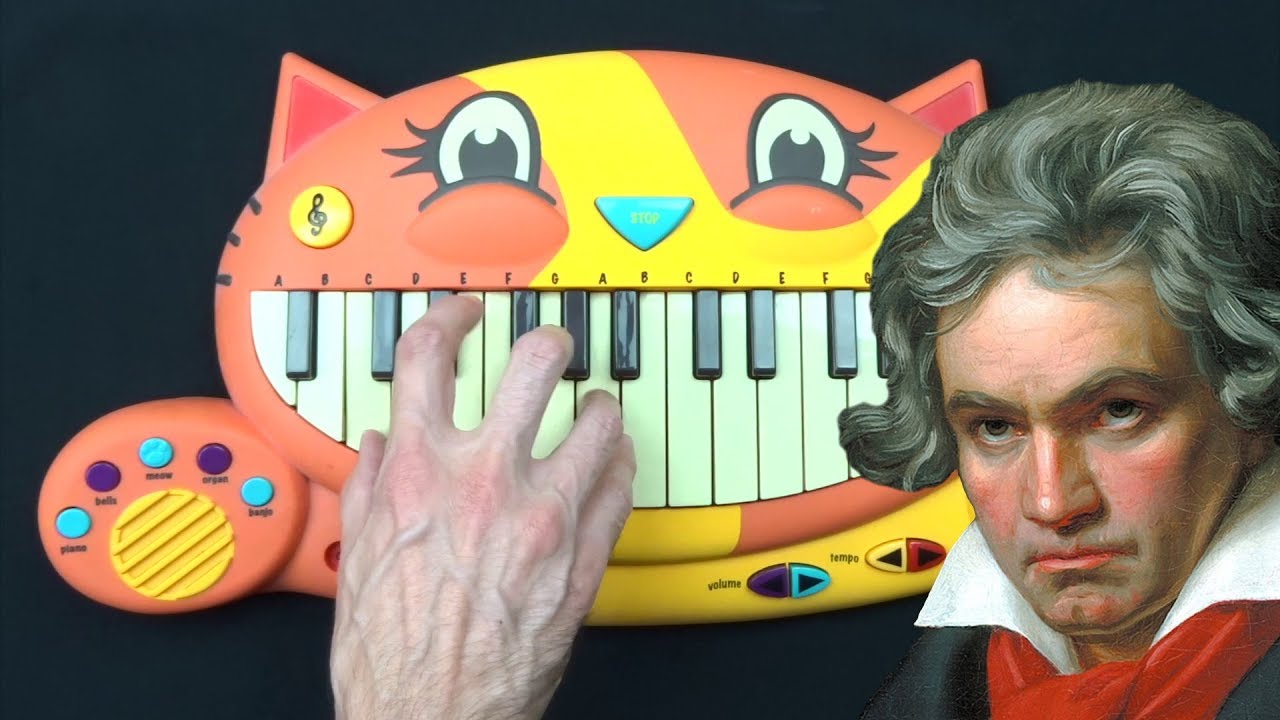 HOW TO PLAY FUR ELISE ON A CAT PIANO YouTube