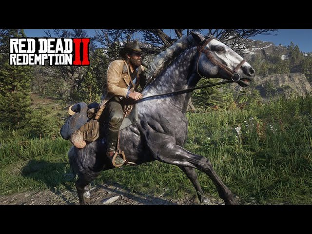 Domei um dos CAVALOS MAIS RAROS DO JOGO - O Domador de Cavalos - Red Dead  Redemption 2 