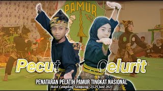 Solo Creative Pencak Silat Pamur Indonesia  Seni Kembangan Tradisional