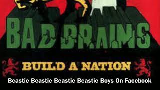 Bad Brains-In The Beginning ( Produced by MCA )