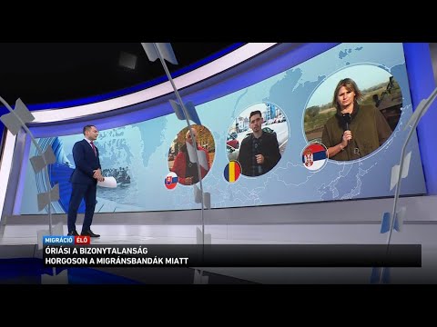 Migrációs körkép