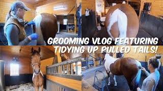 EQUESTRIAN GROOMING VLOG: Tidying Pulled/Clipped/Trimmed Tails & Grooming Prep Before Horse Shows