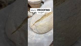 Learn Culinary Slang What Does Proofing Dough Mean?