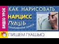 ГУАШЬ. Пишем нарцисс. Этюд с натуры.