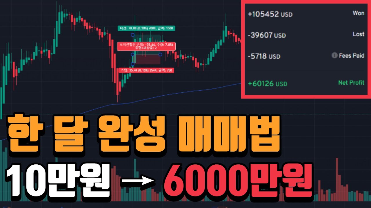한 달 만에 10만원 → 6000만원 만든 매매법 분석 - YouTube