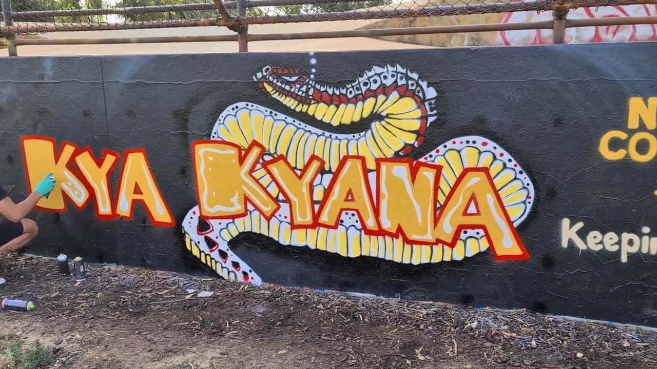 Dumbartung mural painting on the wall of YMCA’s Leederville HQ