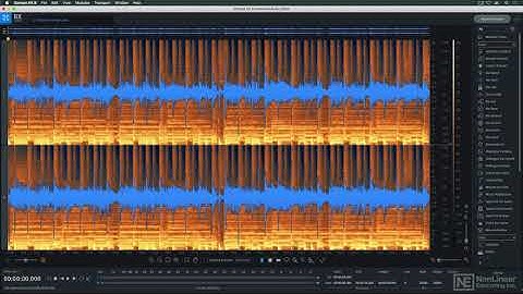 iZotope RX 8 101: RX 8 - The Video Manual  - Introduction
