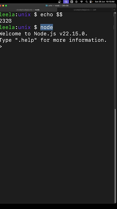 NodeJS Process Id and Parent Process ID using the process Module in MacOS and Unix