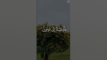 #تلاوات #تلاوة_خاشعة #تلاوات_خاشعة #تلاوة #القرآن #القرآن_الكريم #quran #القارئ #عبدالباسط_عبدالصمد