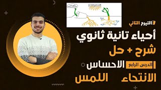 تانيه ثانوى محاضره 5 ✨الاحساس فى النباتات : الاستجابه للمس والظلام والنور والانتحاء  | ❤️