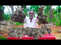 SPICY QUAIL FRY RECIPE | கிராமத்து காடை வறுவல் | Village Style Tasty Quail Fry | Village Grandpa