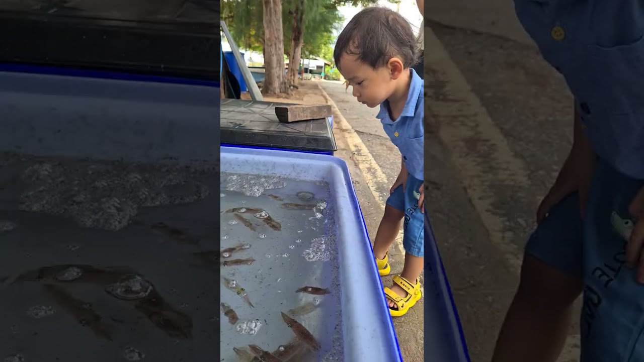 ผมพีแคนครับ มาเที่ยวประจวบต้องมาม่องล่ายครับ