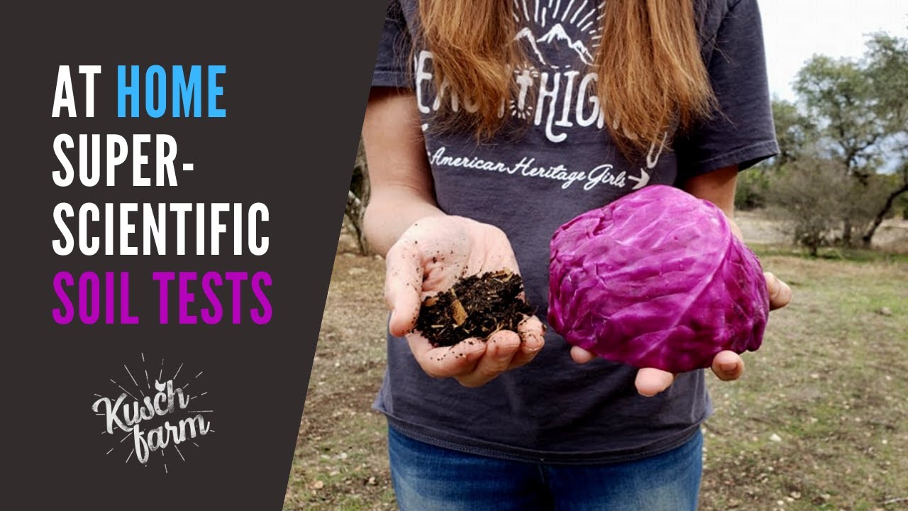 DIY Soil Tests Drainage, pH Levels 