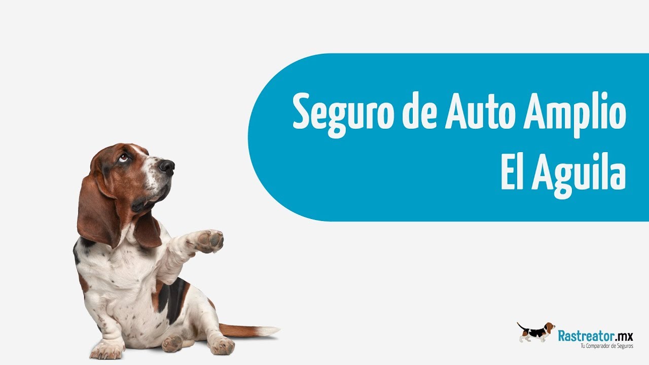 ▷ Seguros El Águila - Cotizar Seguro de Auto ®