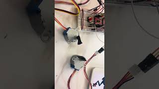 IMG 2052 5