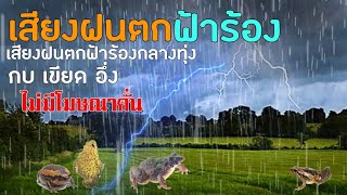 เสียงฝนตกฟ้าร้อง กล่อมนอน ฝนตกหนักฟ้าคะนอง กบเขียดร้อง ธรรมชาติบำบัด คลายเคลียด