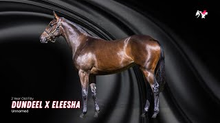 Dundeel x Eleesha | It's Showtime