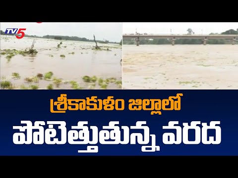 Heavy Rains in Srikakulam | Floods in Srikakulam | TV5 News Digital - TV5NEWS