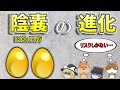【ゆっくり解説】最も謎な器官ー陰嚢(※金玉袋)の進化