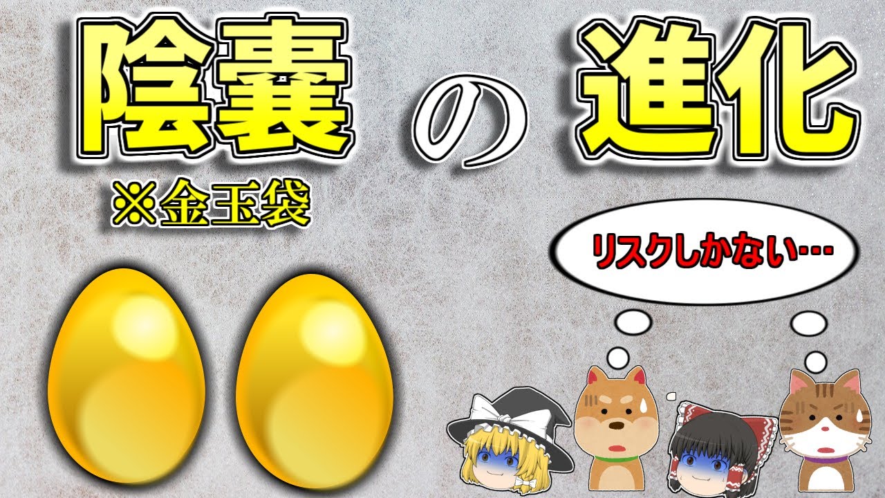 【ゆっくり解説】最も謎な器官ー陰嚢（※金玉袋）の進化