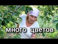 Ландшафтный ДИЗАЙН своими руками. Садовый участок- сад мечты