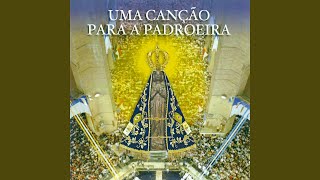 Vídeo de Salve a Padroeira do Brasil