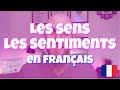 Senses and emotions in French - An introduction