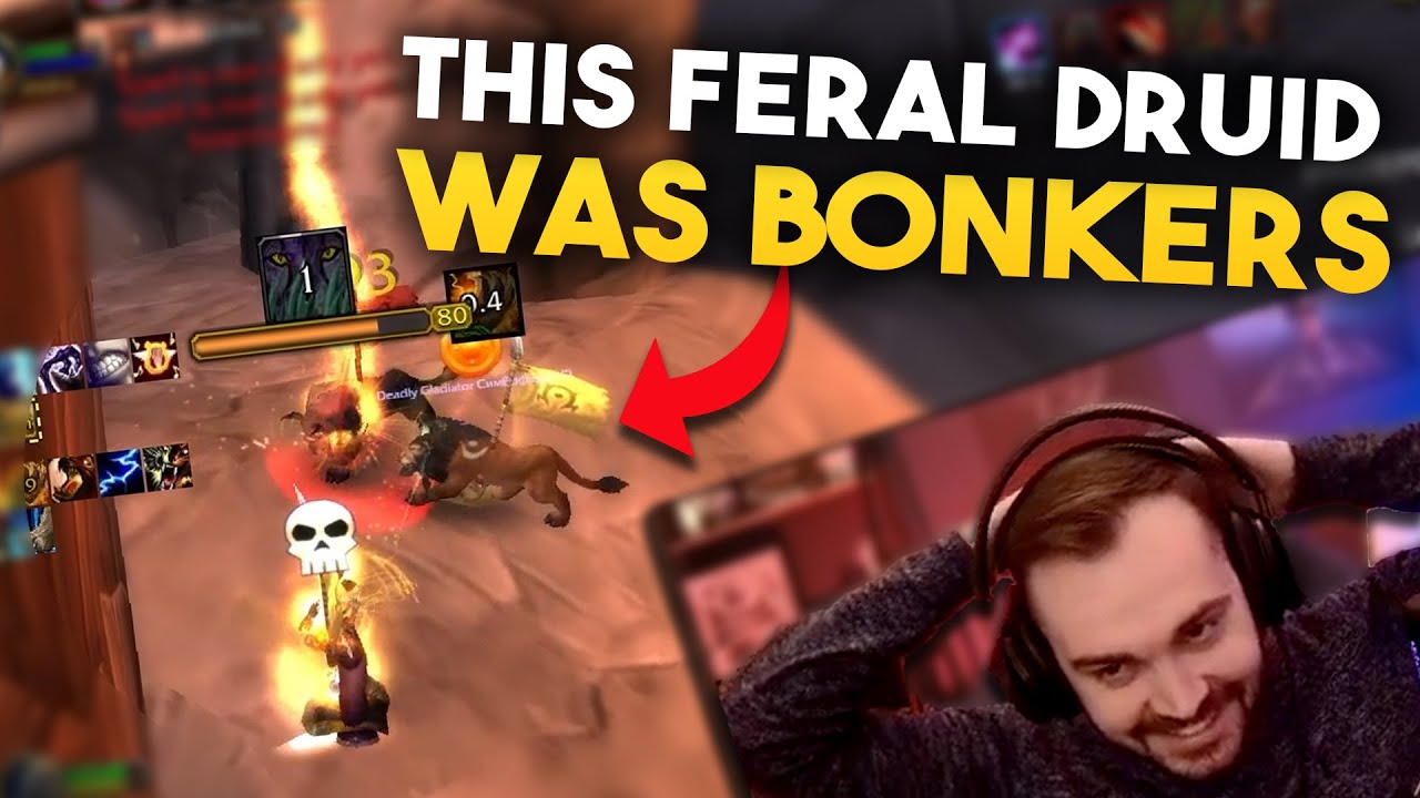 I played with a flawless Feral Druid