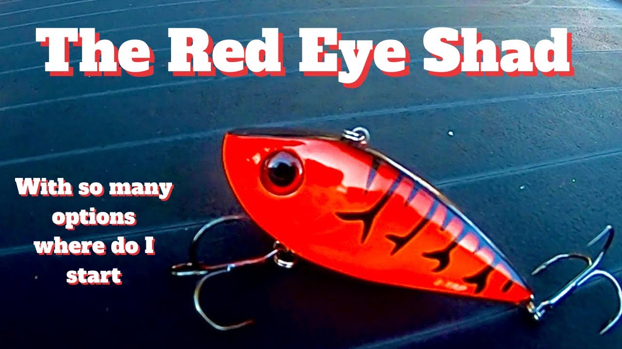 RED EYES, RATTLE TRAPS, VIBRATING BAITS..Where do you Start?? 