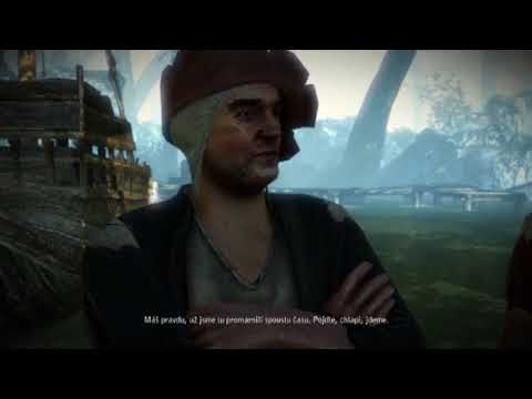 The Witcher 2: Assassins of Kings