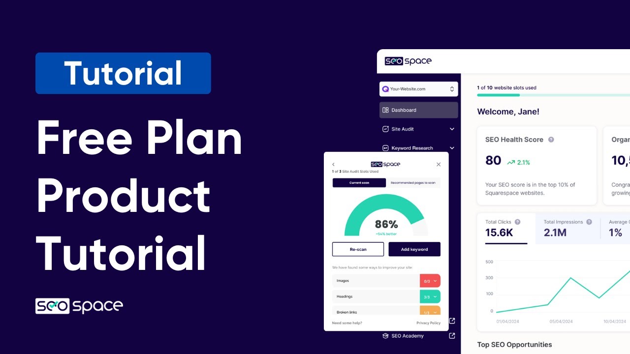 Complete SEOSpace Product Tutorial (Free Plan UPDATED) - YouTube