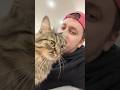 Cute 🥰 Cat mr.Bruno