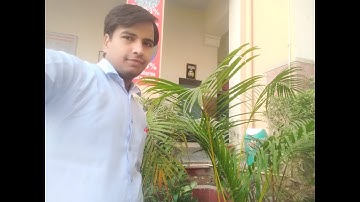 class 7 mathematics chapter 4 exercise 4.6 question no 5 part 2