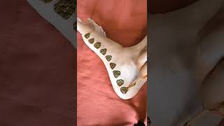 Simple Gorintaku Design For Legs Design Special