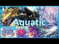 Deck Profile - Aquatic - loop de peixes