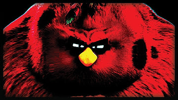 1 Hour of Silence Occasionally Broken Up By Angry Bird Screams