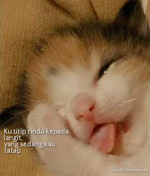 Story wa ku titip rindu