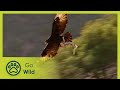 Eagles - The Whole Story 4/13 - The Secrets of Nature