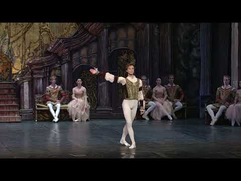 ”Swan Lake" Act1,No.4-4, PDT-2ndV- Macedonian Ballet　8/36