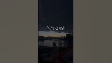 سورة الزمر الاية:(٢٣)