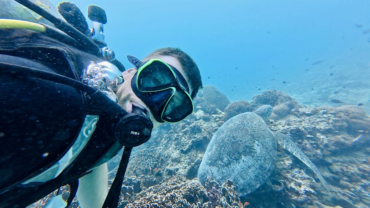 [Indonezje] nurkowanie na Gili Trawangan - wraki, żółwie i rekiny l