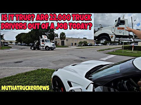 Yellow Truck Drivers Got Laid Off Today😢 I Chased Down A Driver To Ask If He Got Fired 🤯