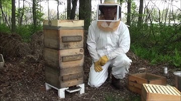 Warre Hive #1 Adding a Box
