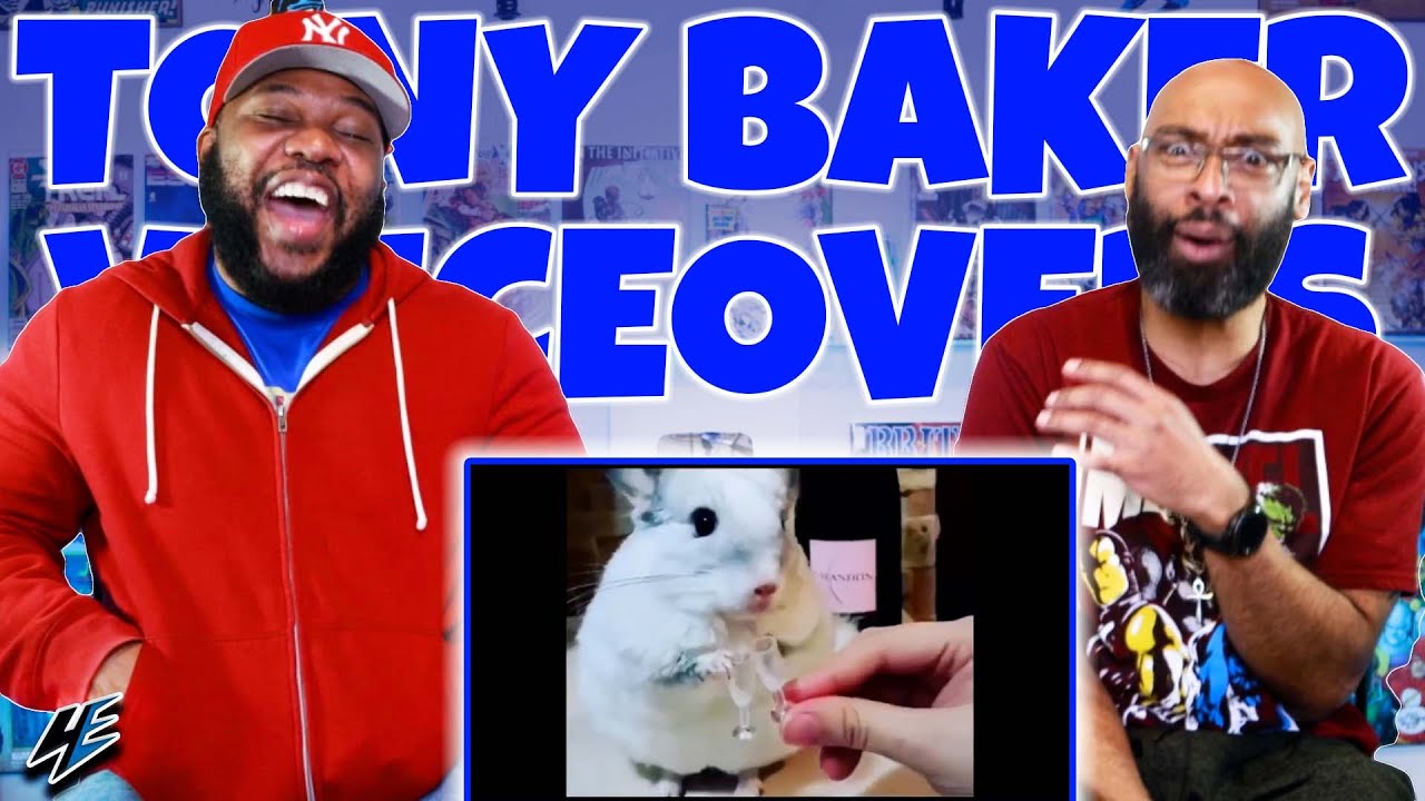 Tony Baker VoiceOvers - The Animal Whisperer Pt. 64 Reaction