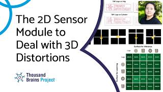 2026/05 - The 2D Sensor Module to Deal with 3D Distortions