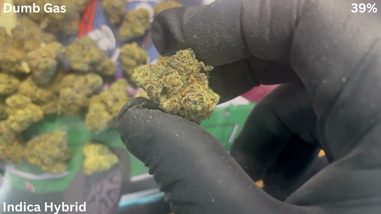 Dumb Gas - AAAA Grade - High Potency THCA Flower